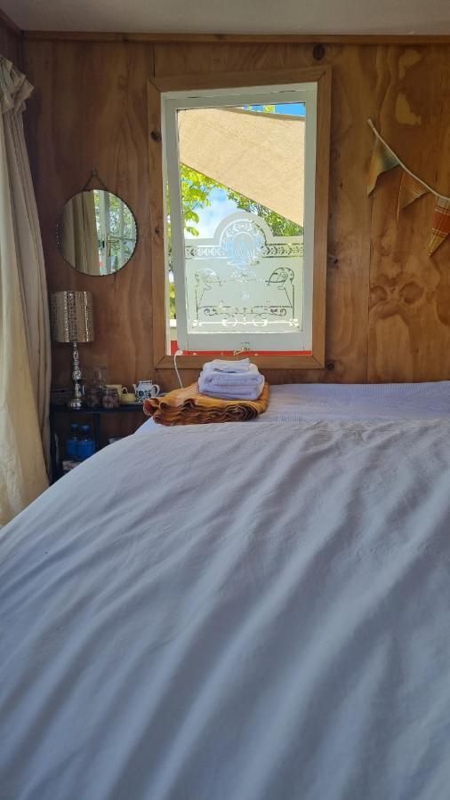 Delightful 1 Bedroom Tiny House, Unique And Memorable Westport Bagian luar foto